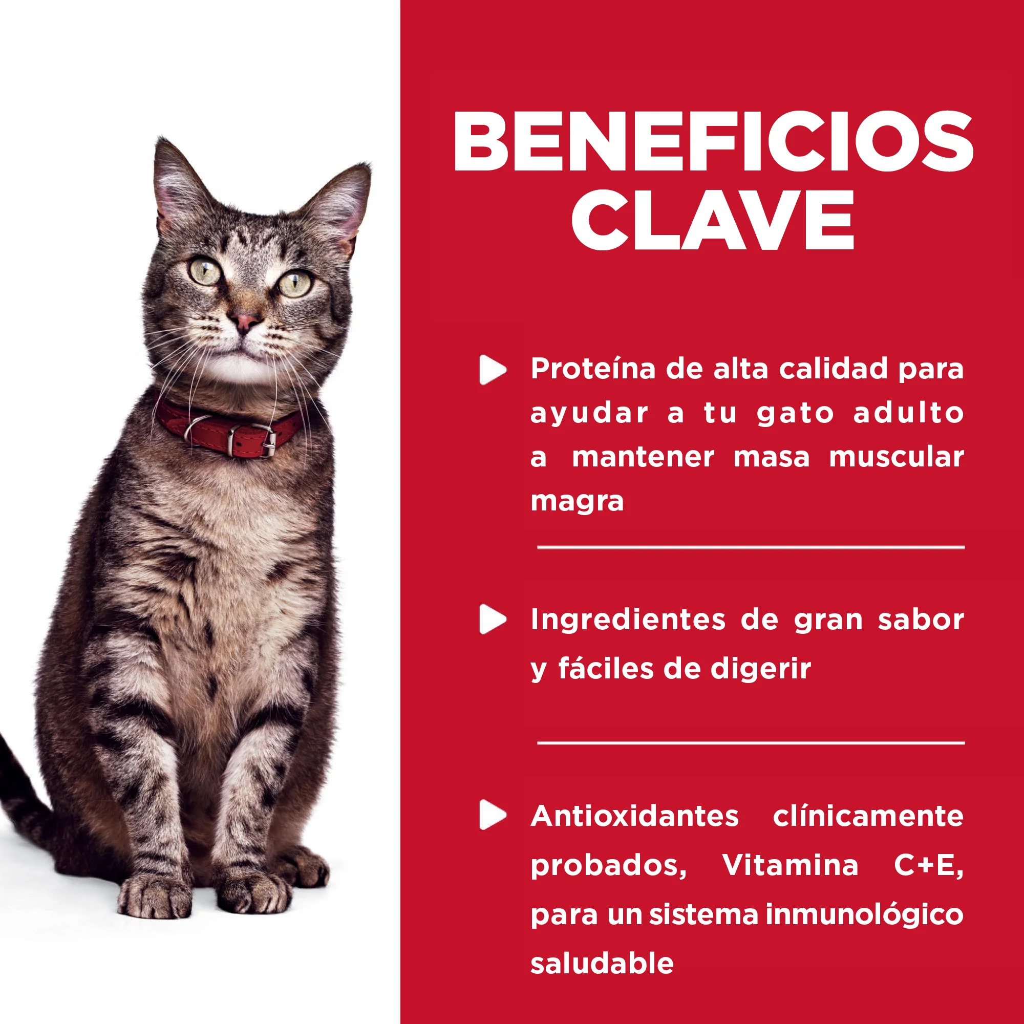 Comida húmeda para gato Feline Adulto Pouch Pollo 79 g - Image 3