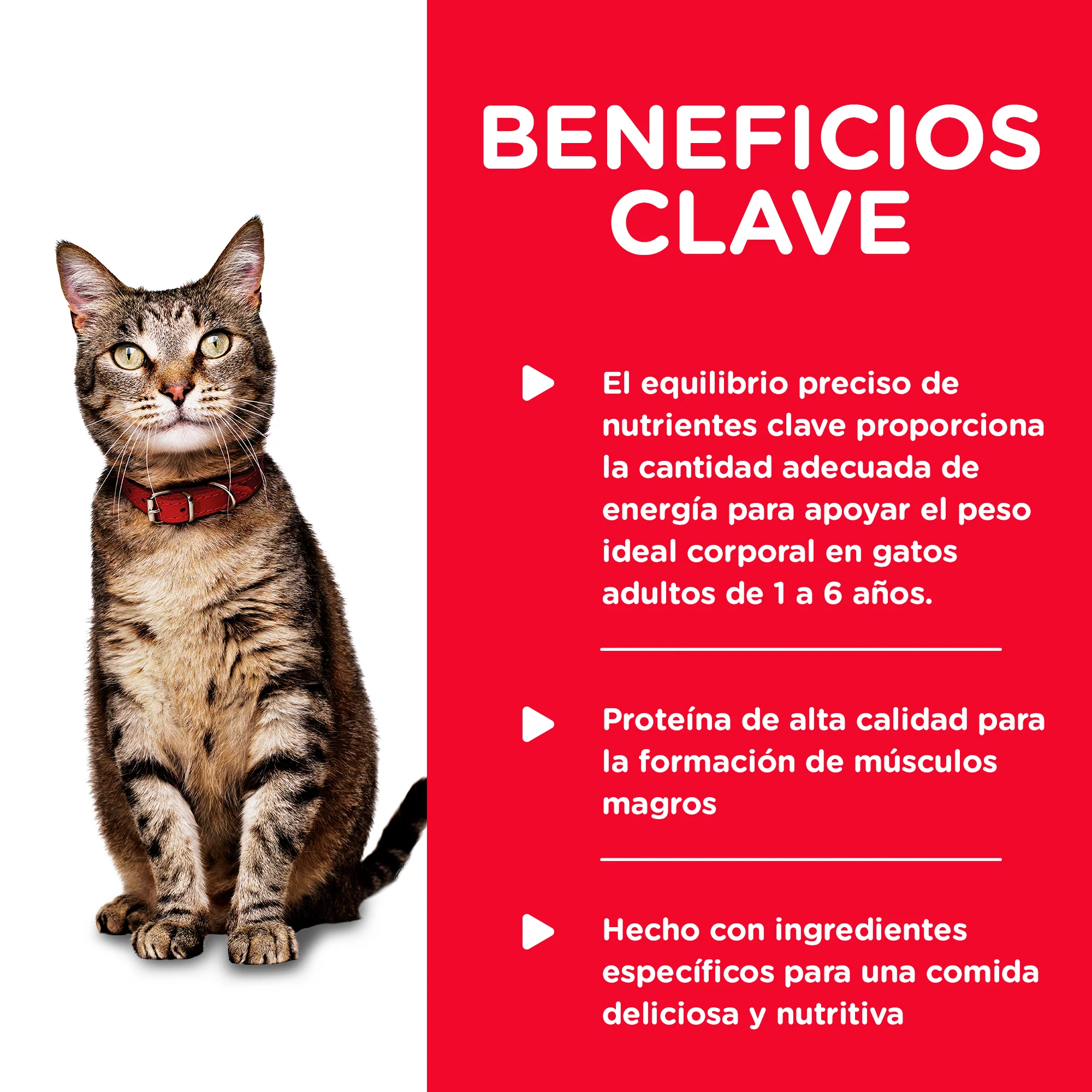Comida Húmeda para Gato Hills Liver and Chicken 5.5 Onz - Image 4