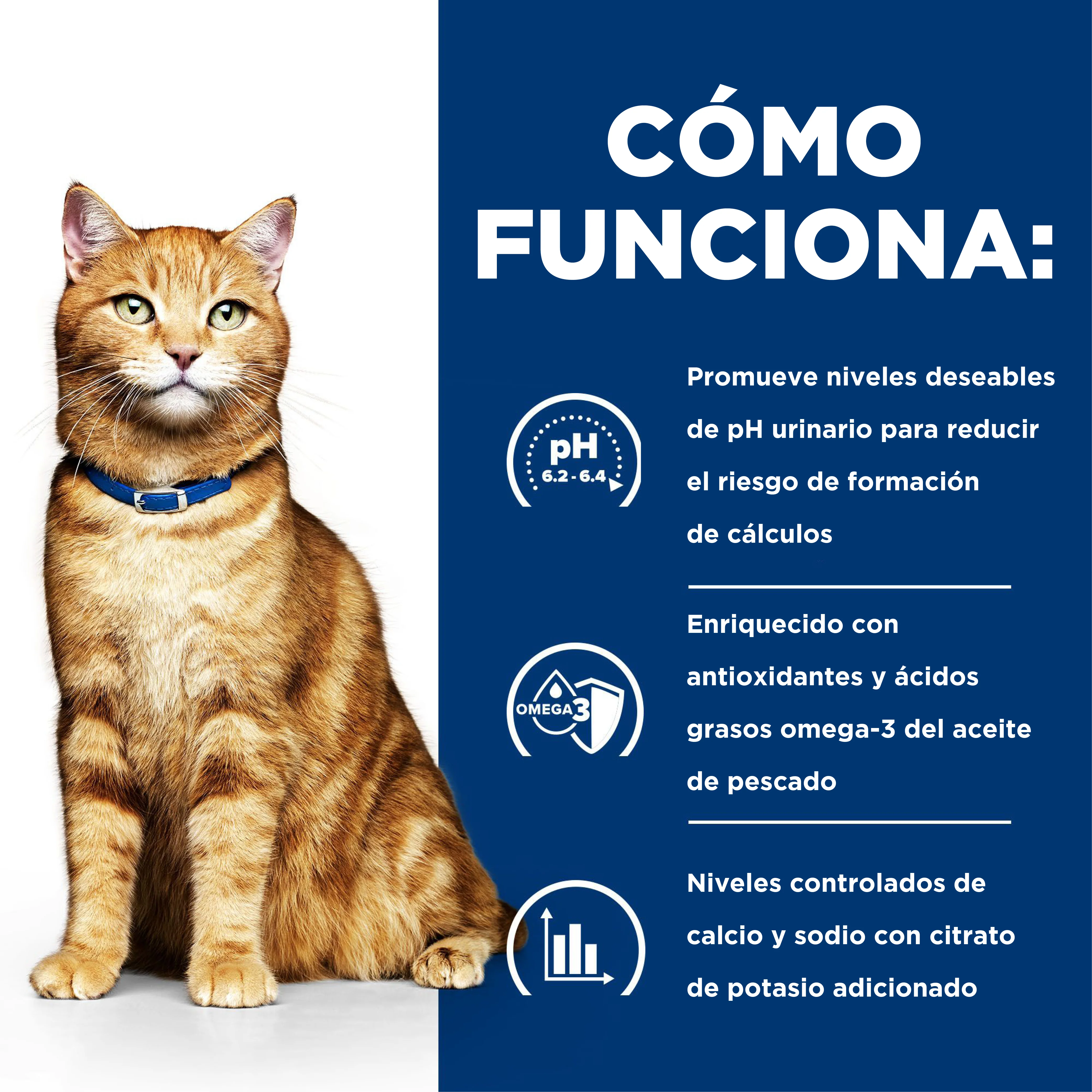 Comida Húmeda Gato Hills Prescription Multicare Chicken - Image 5