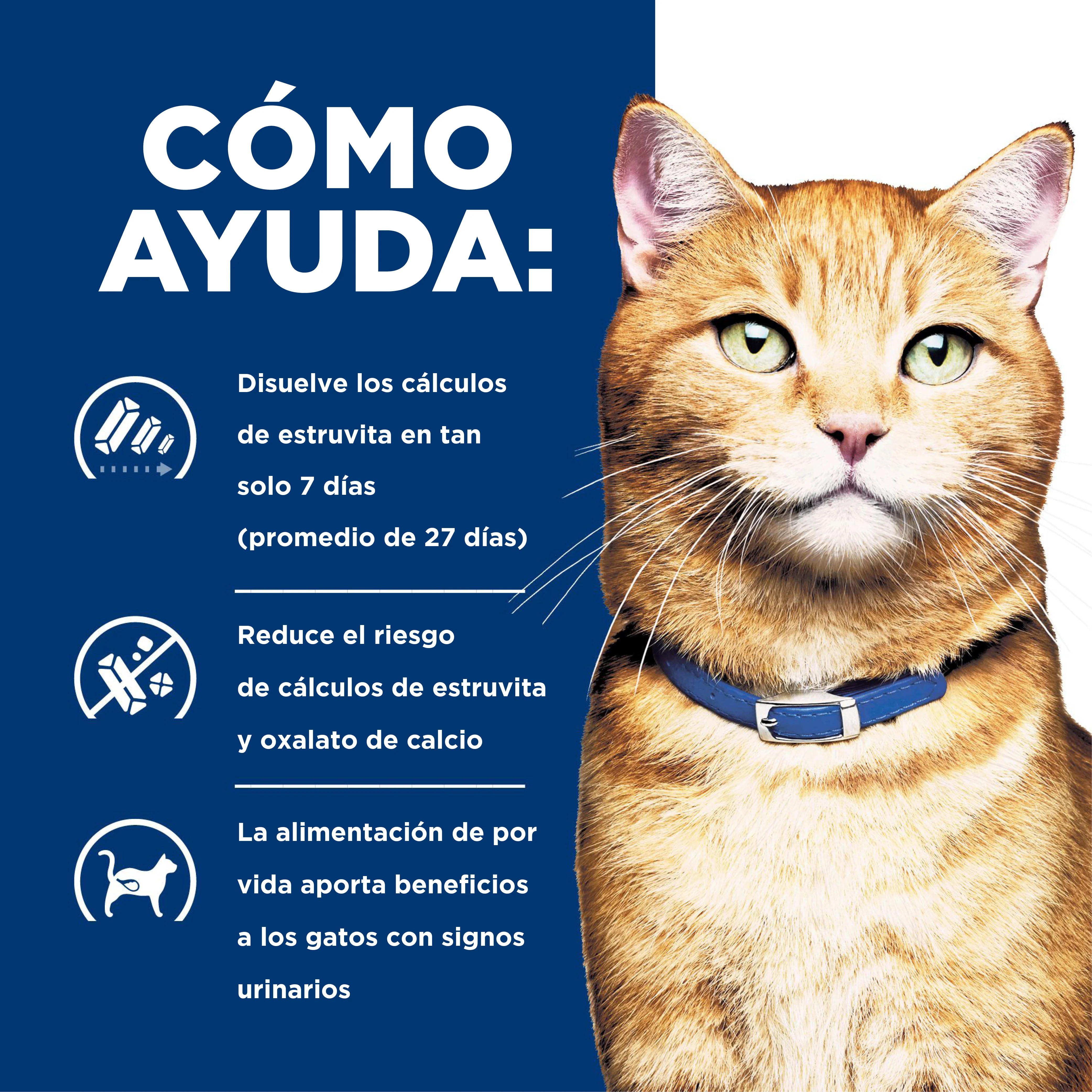 Comida Húmeda Gato Hills Prescription Multicare Chicken - Image 6
