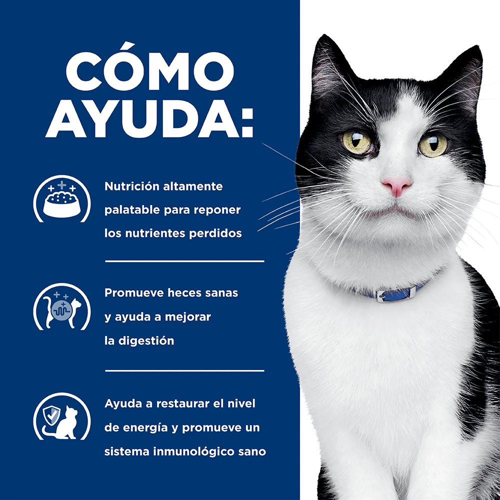 Comida para gato Hills Digestive Care i/d 4Lbs - Image 6