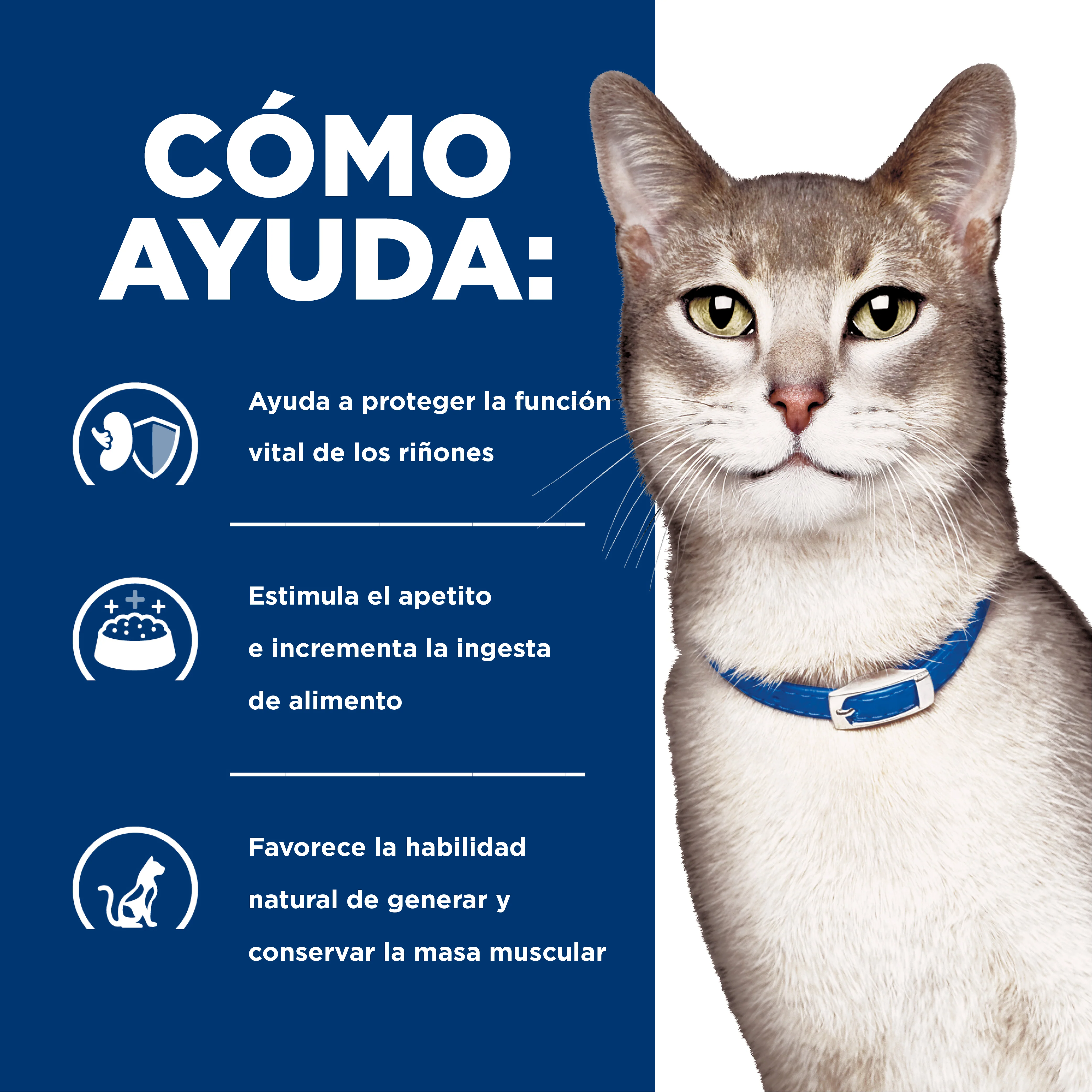 Comida Húmeda gatos Hills Prescription Diet k/d Cuidado - Image 3