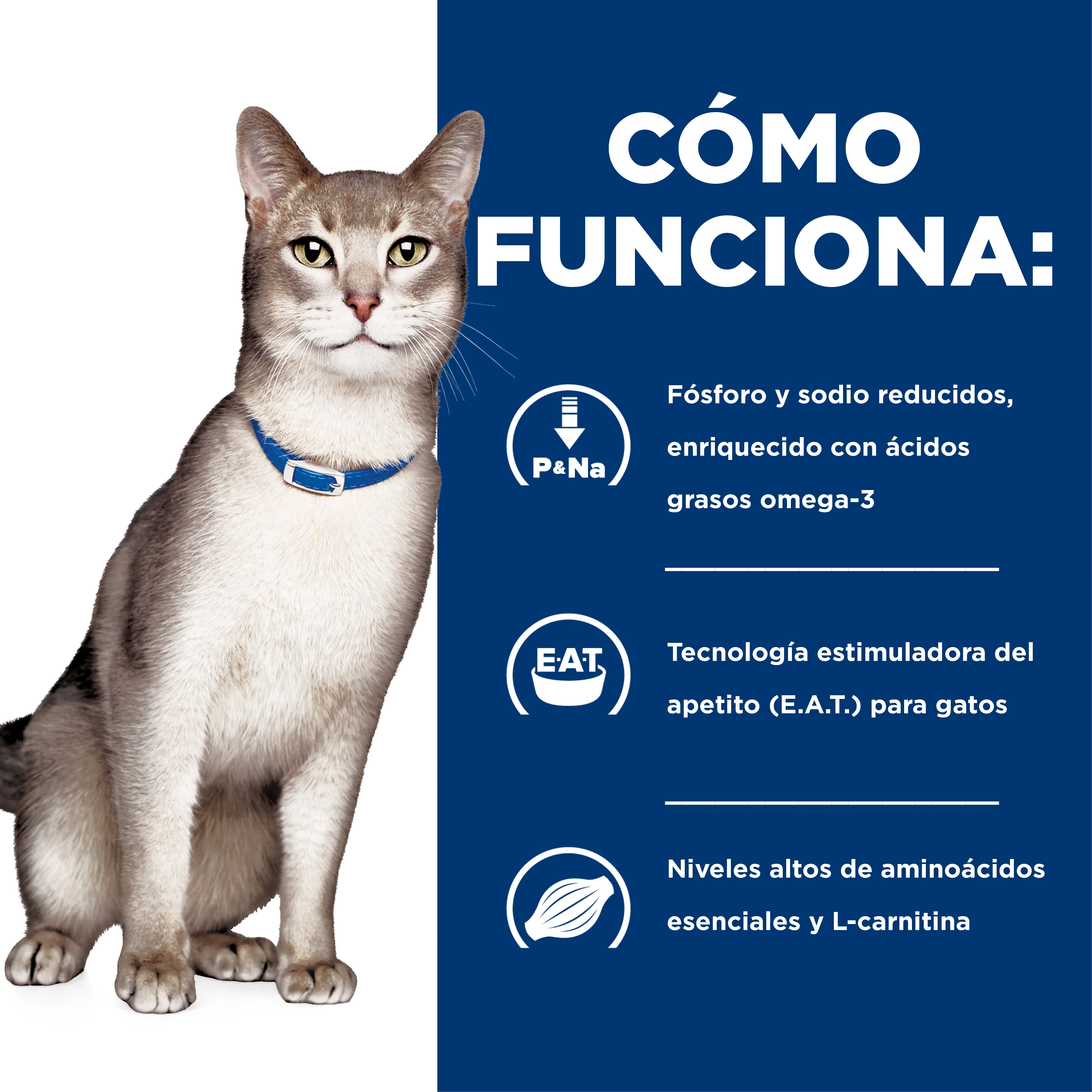 Comida Húmeda gatos Hills Prescription Diet k/d Cuidado - Image 4