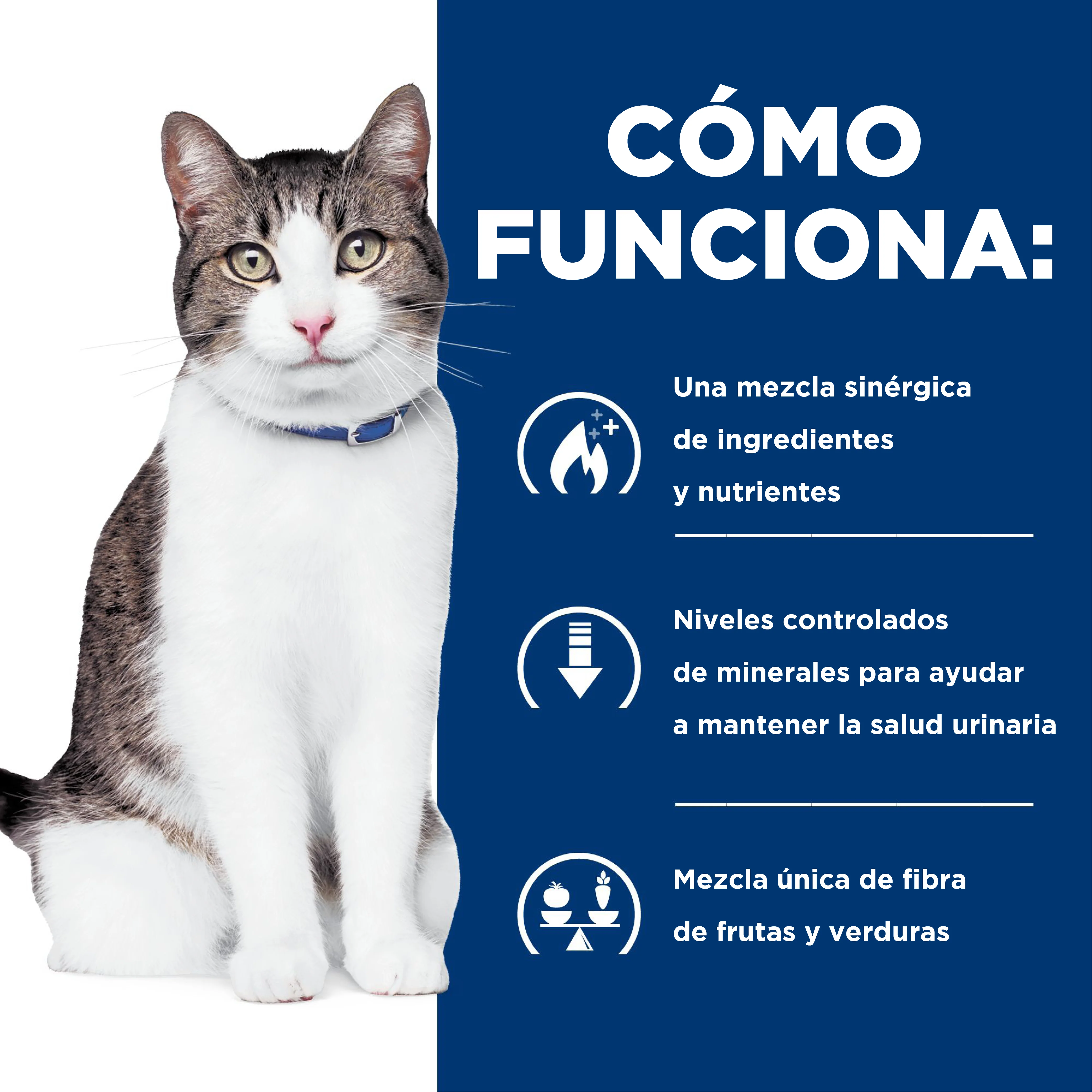 Comida para gato Hills c/d Multicare + Metabolic c/d - Image 4