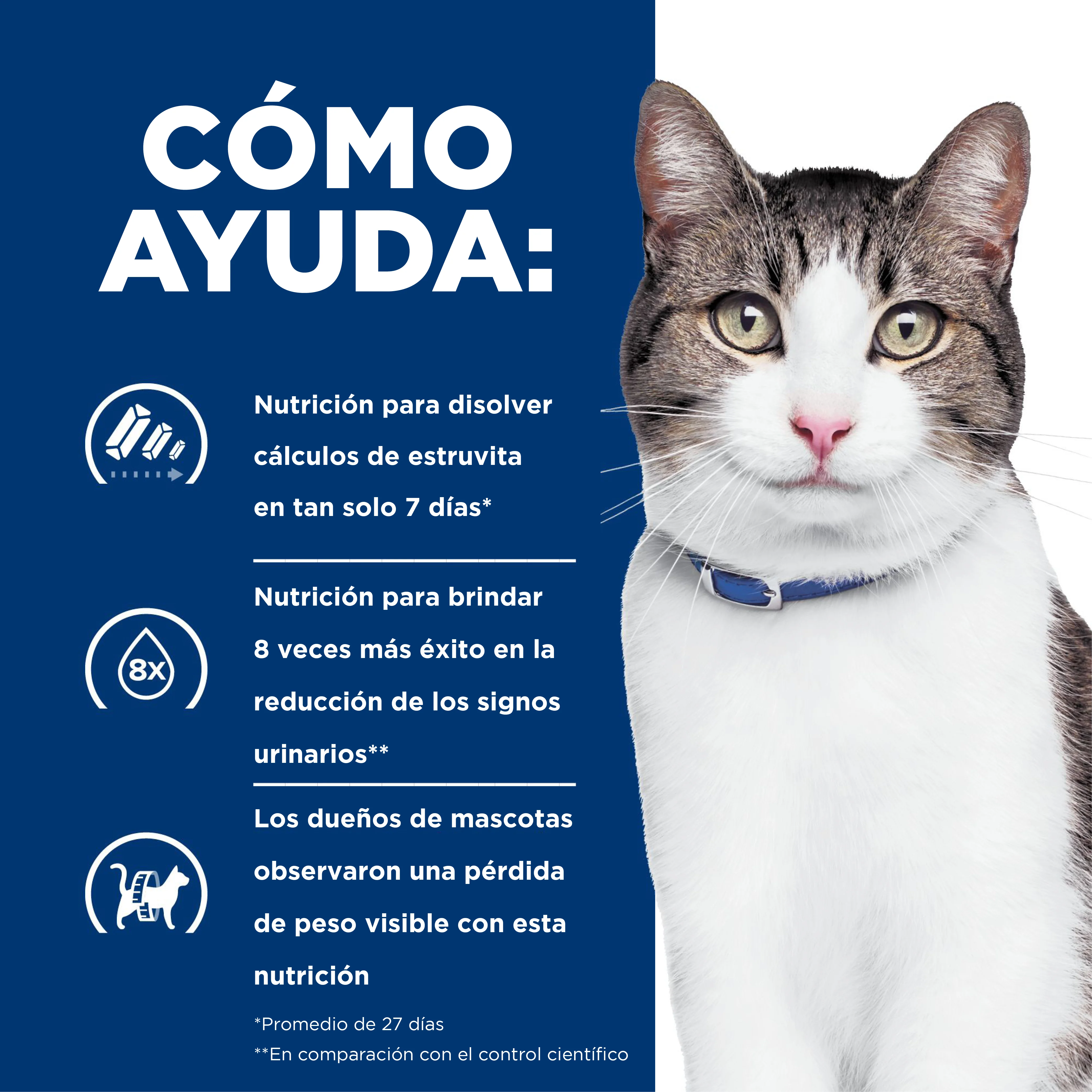 Comida para gato Hills c/d Multicare + Metabolic c/d - Image 5