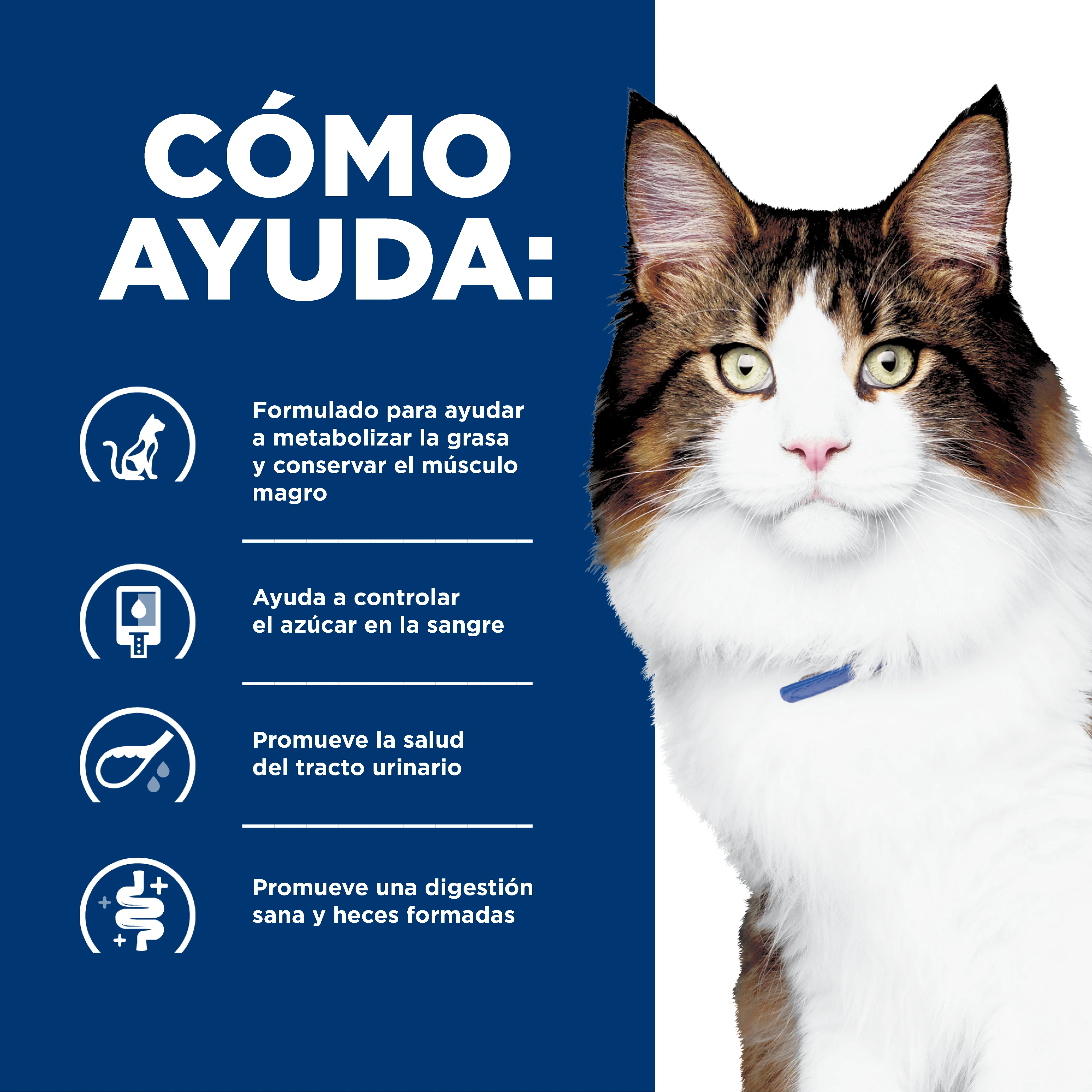 Comida para gato Hills Mantenimiento Peso w/d 4 Lbs - Image 5