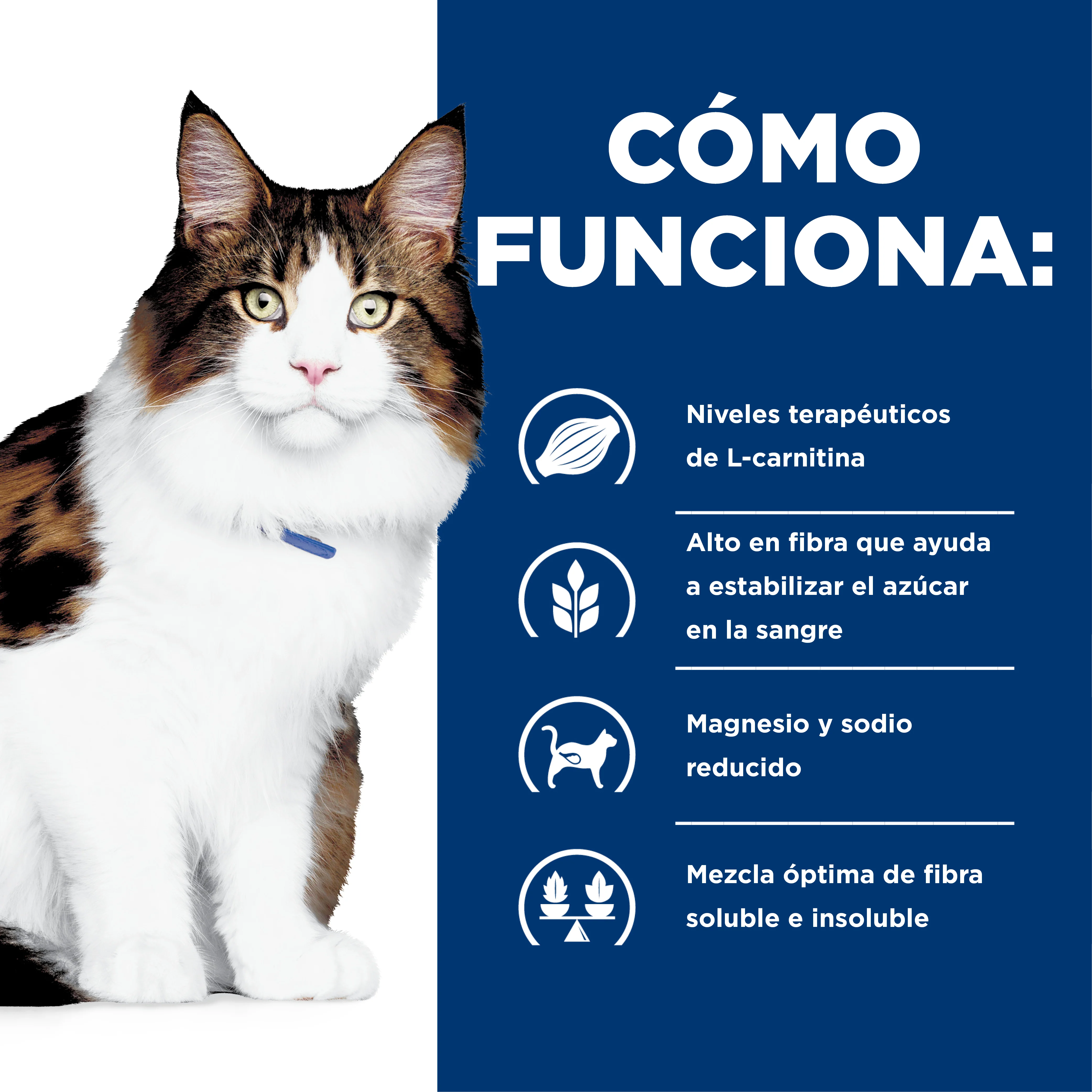 Comida para gato Hills Mantenimiento Peso w/d 4 Lbs - Image 6