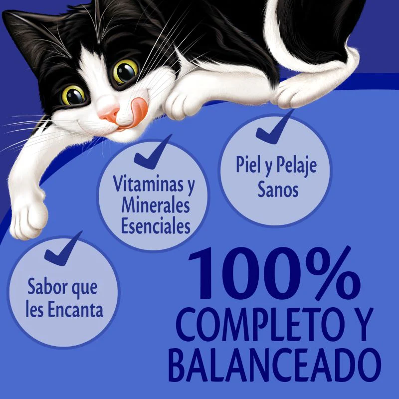 Comida Húmeda Para Gato Felix Pouch Pavo X 85 Gr - Image 4