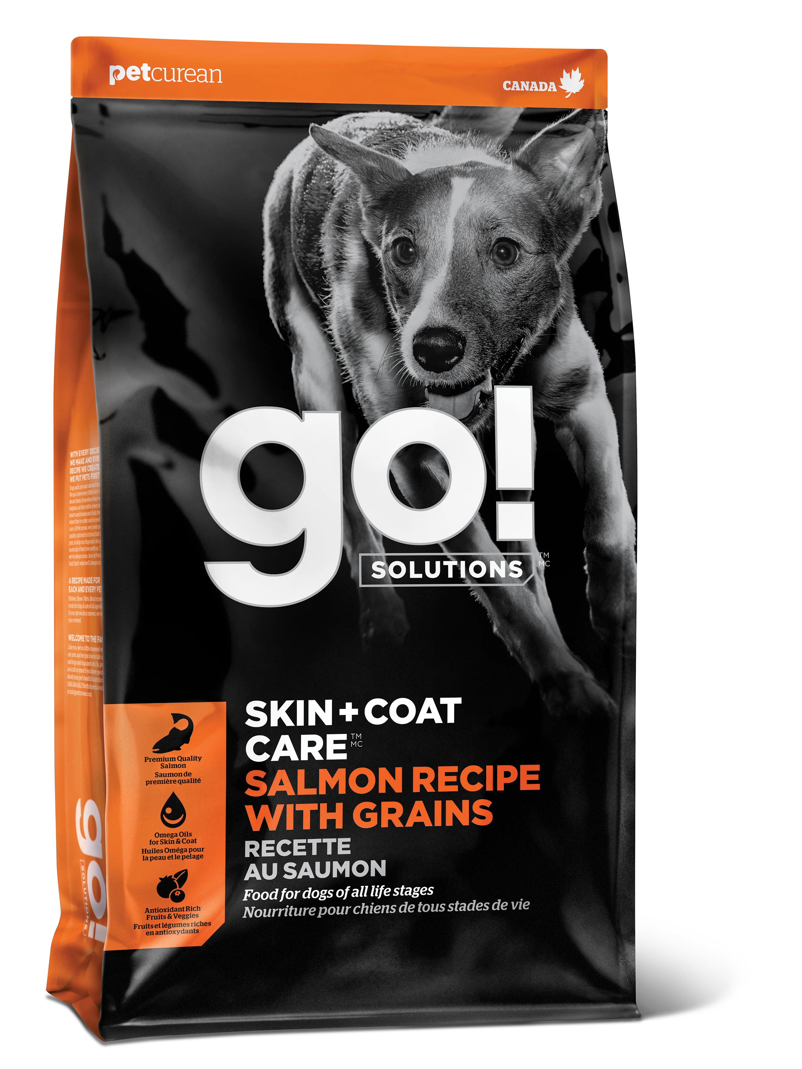 Comida Para Perro GO! SKIN + COAT Receta de Salmón