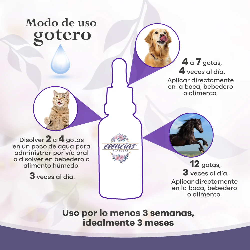 Esencia Floral Agresividad Gotas 30 Ml - Image 3
