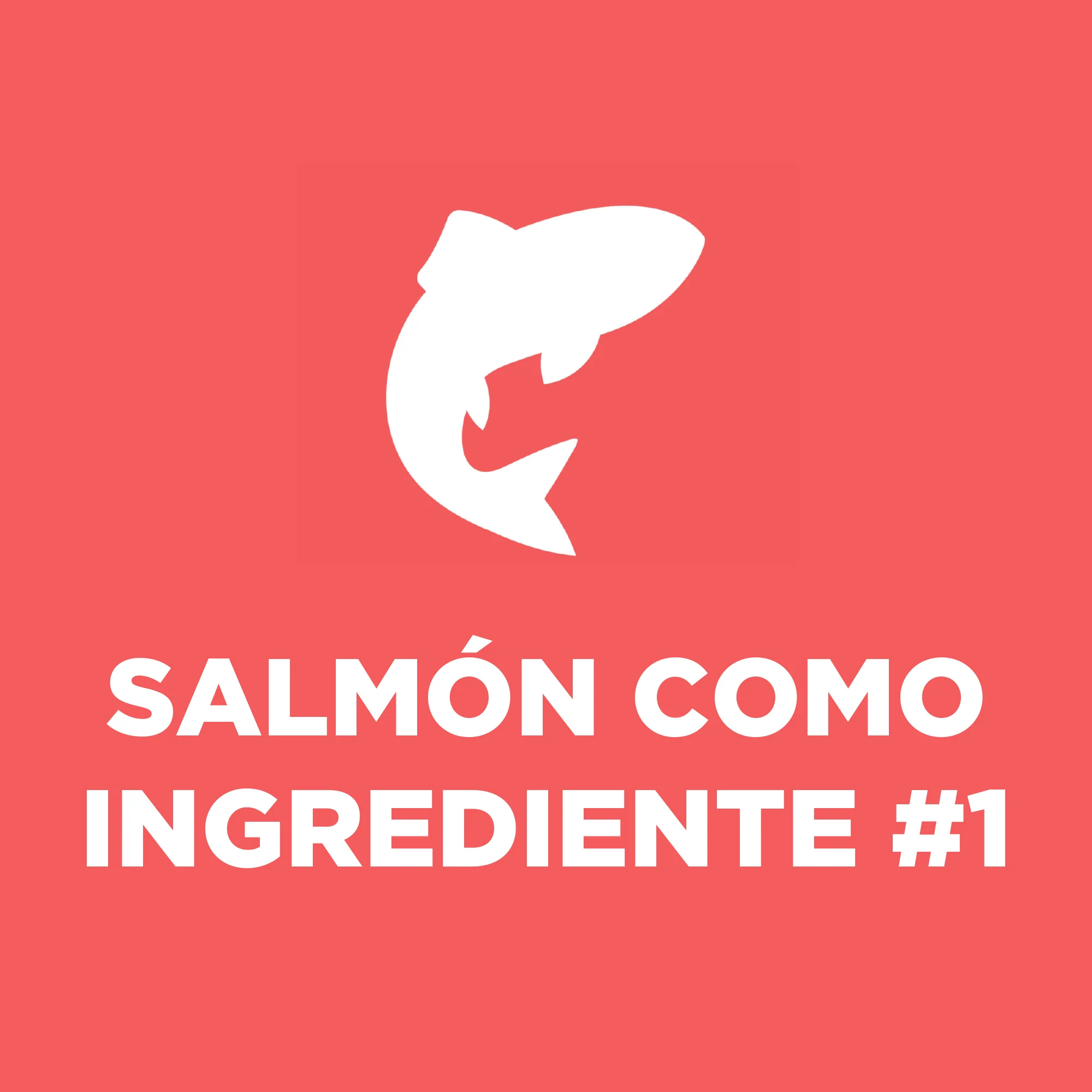 Comida Húmeda Para Gato Hills Salmon 5,5 Onz - Image 3