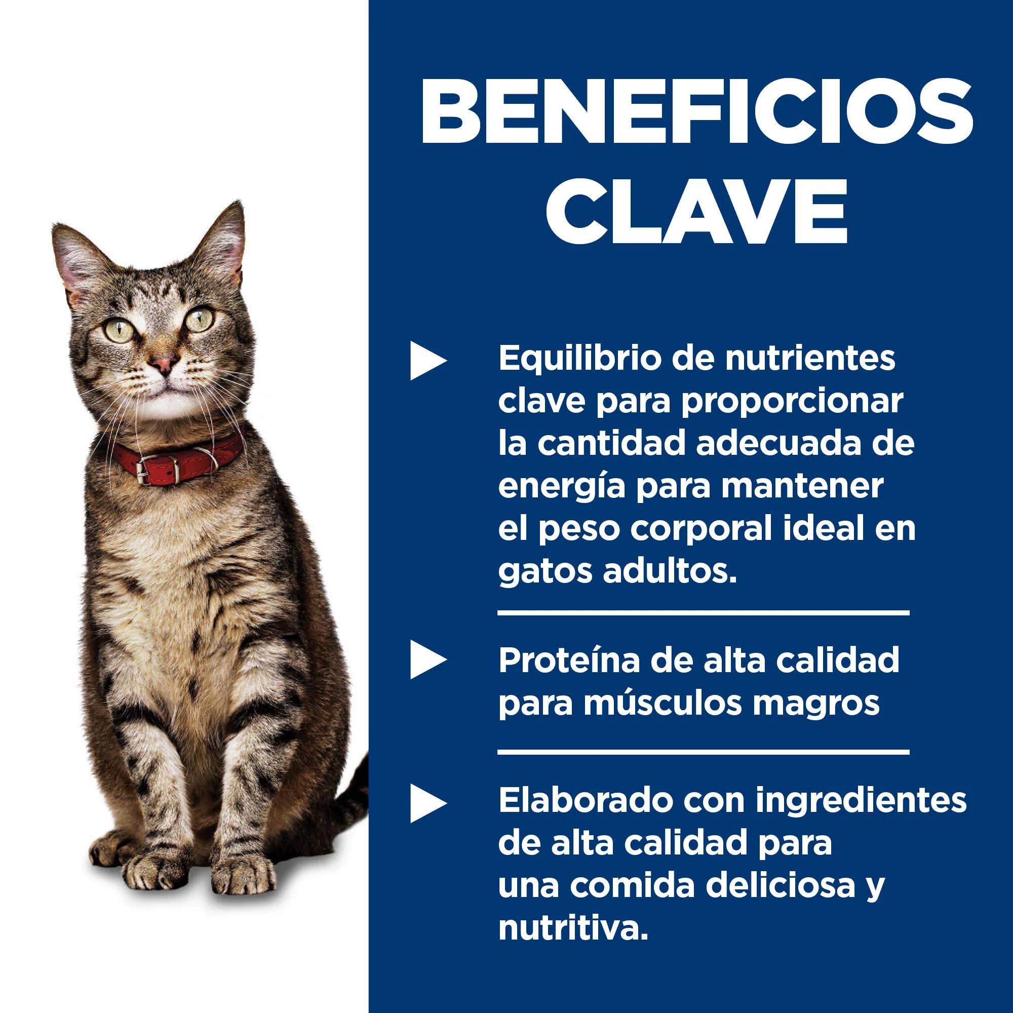 Comida Húmeda Para Gato Hills Salmon 5,5 Onz - Image 6
