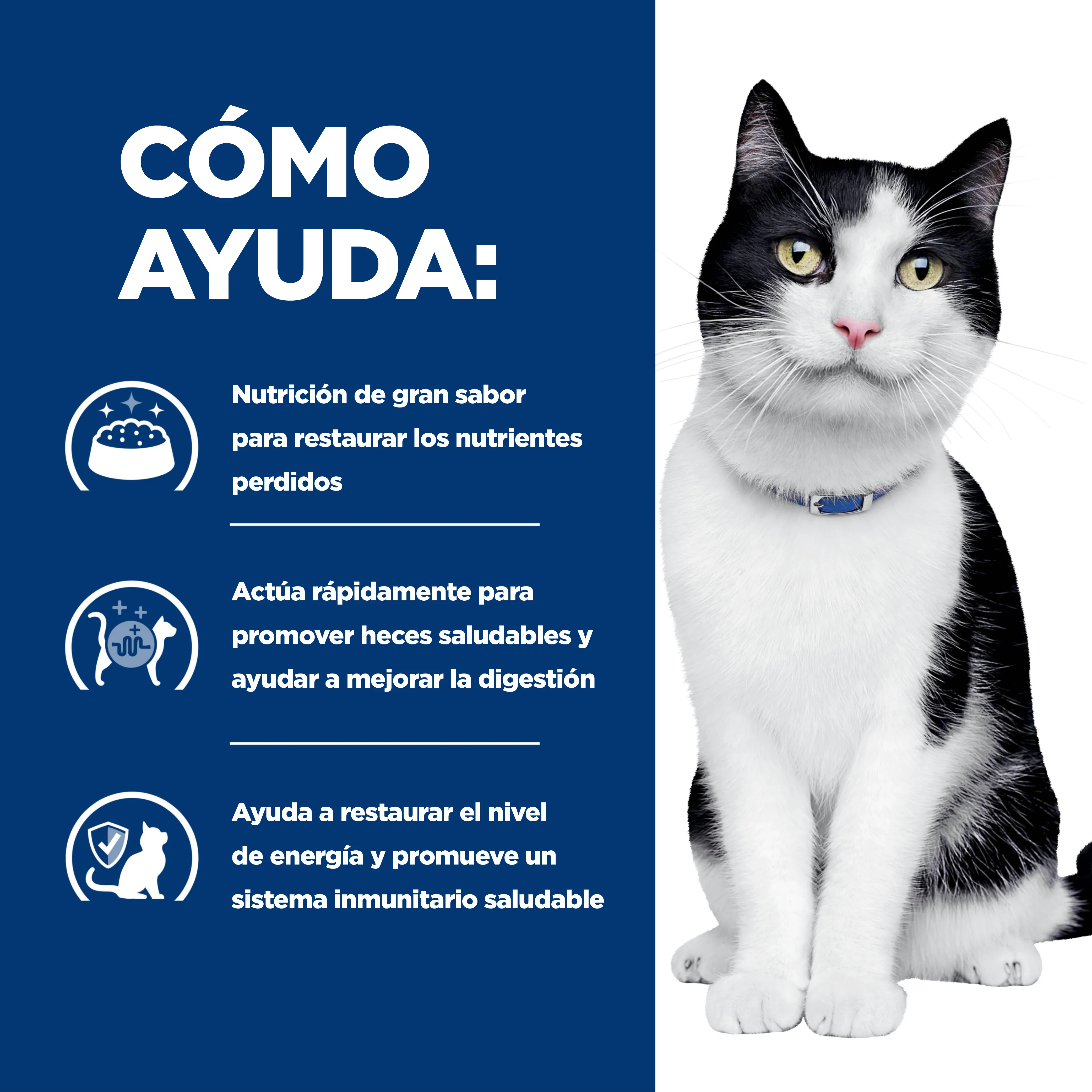 Comida Húmeda gatos Hills Prescription Diet i/d - Image 5