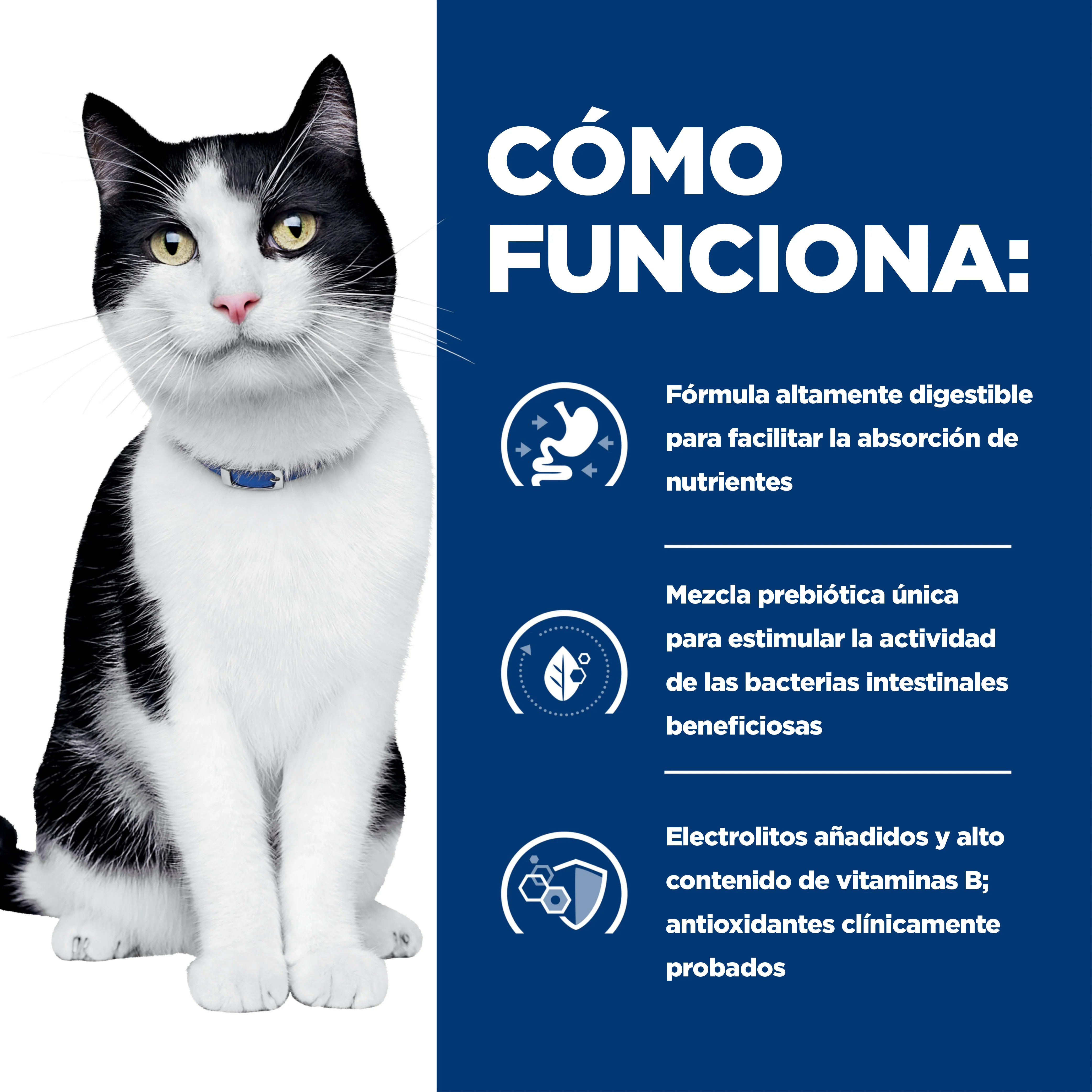 Comida Húmeda gatos Hills Prescription Diet i/d - Image 6