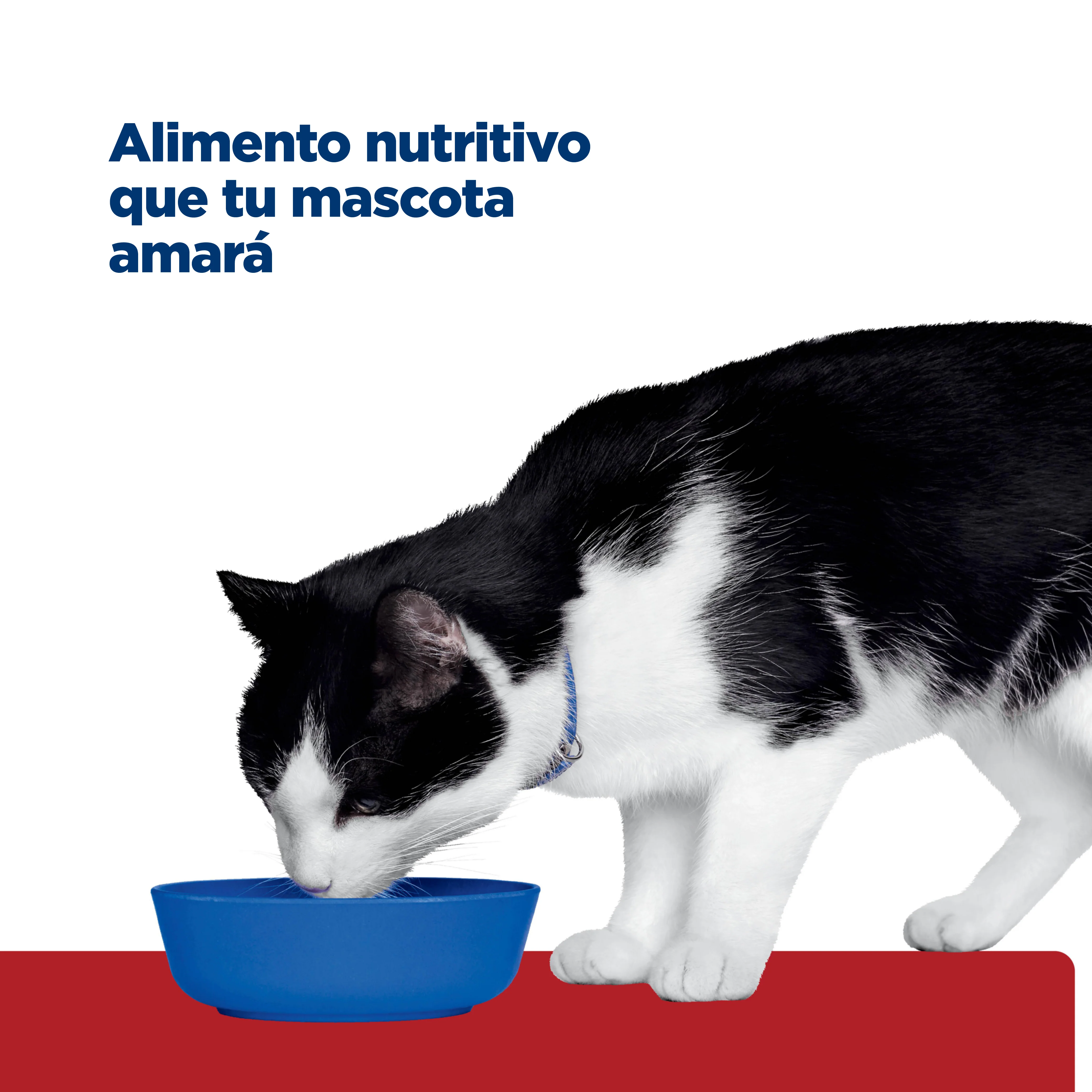 Comida Húmeda gatos Hills Prescription Diet i/d - Image 7