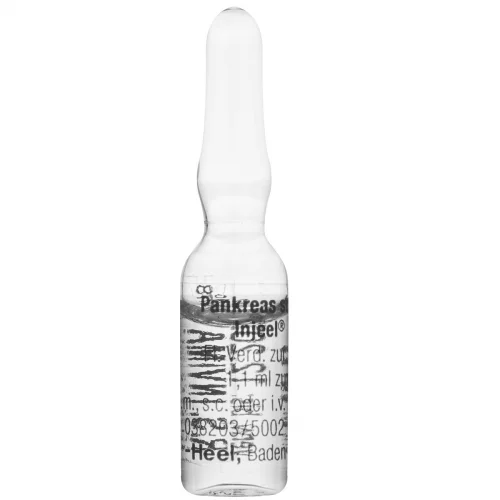 Pankreas Suis Injeel X 1 Ampolla 1.1 Ml