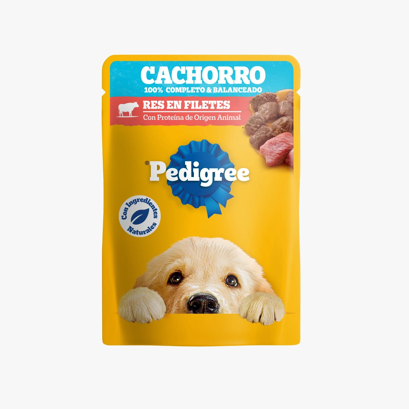 Comida Húmeda Para Perro Cachorro Pedigree Pouch Carne 100G