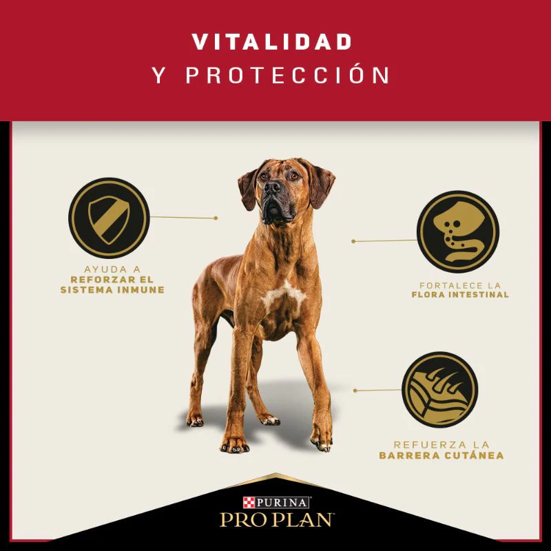 Comida Para Perro Pro Plan Adulto Razas Grandes - Image 5