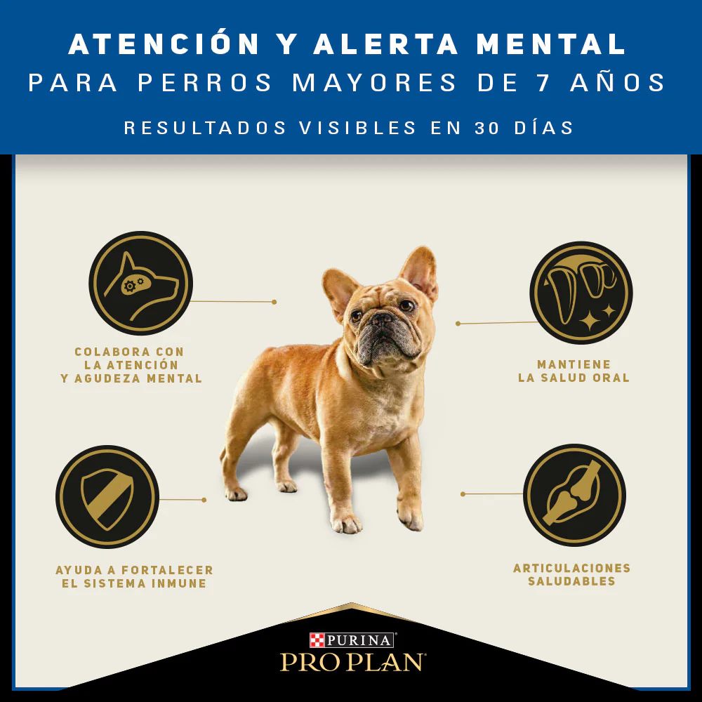 Comida Para Perro Pro Plan Adulto Raza Pequeña Active - Image 5