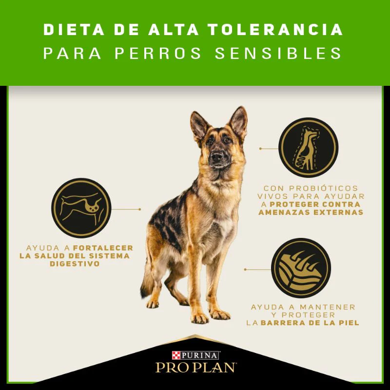 Comida Para Perro Pro Plan Adulto Sensitive Skin - Image 5