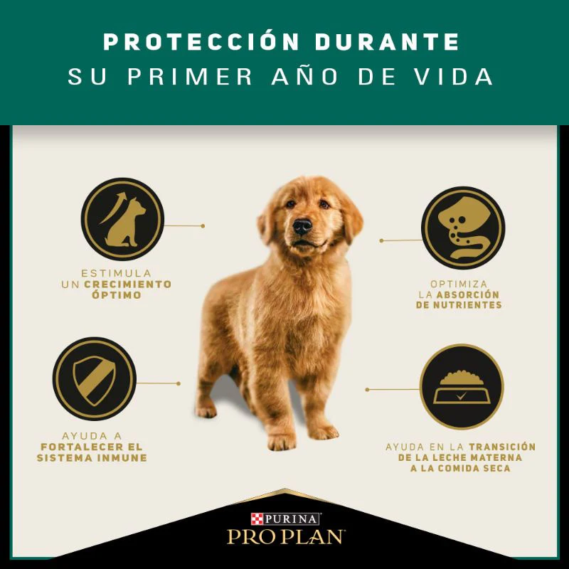 Comida Para Perro Pro Plan Puppy Raza Mediana - Image 4