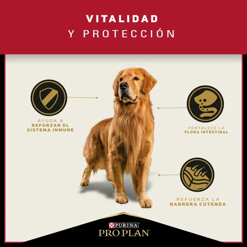 Comida Para Perro Pro Plan Adulto Raza Mediana - Image 4