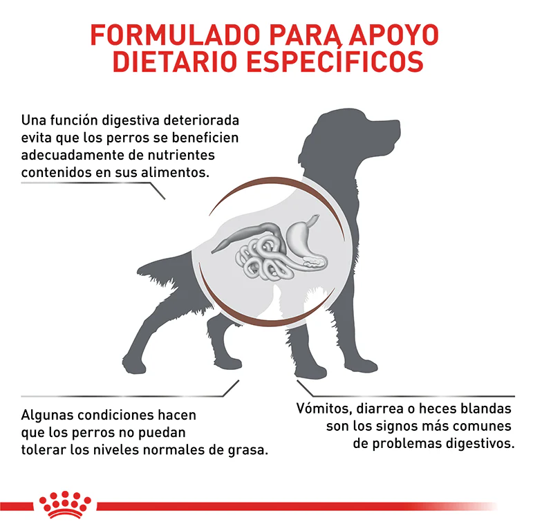 Comida Para Perro Royal Canin Gastrointestinal Low Fat - Image 2