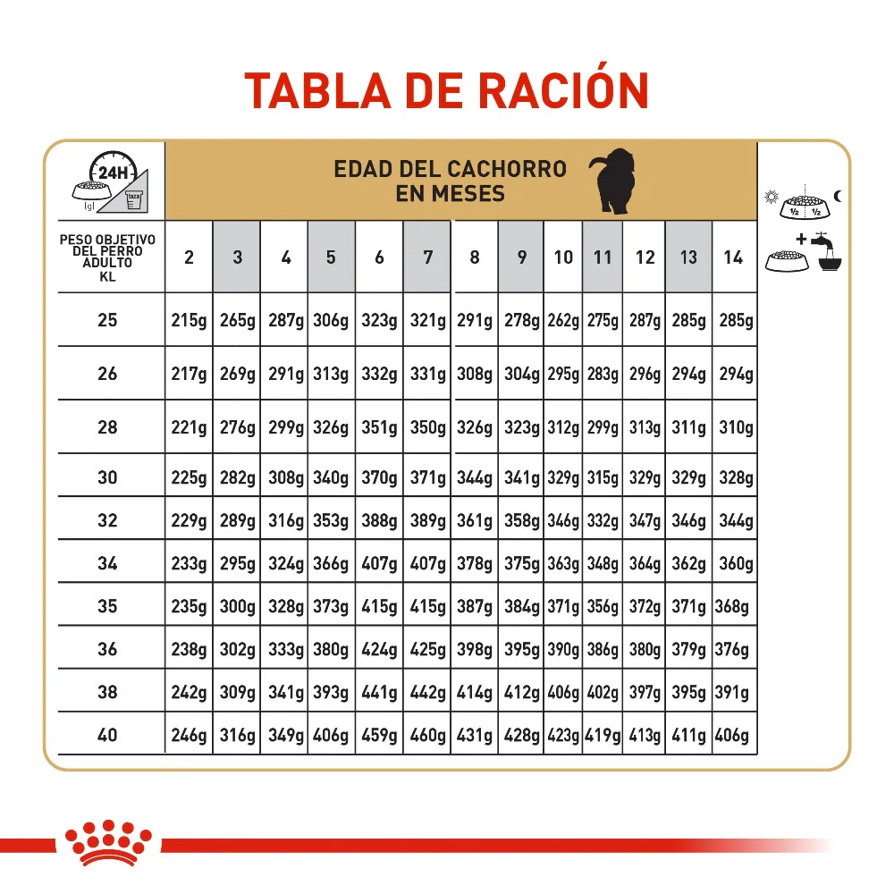 Comida Para Perro Royal Canin Golden Puppy - Image 2