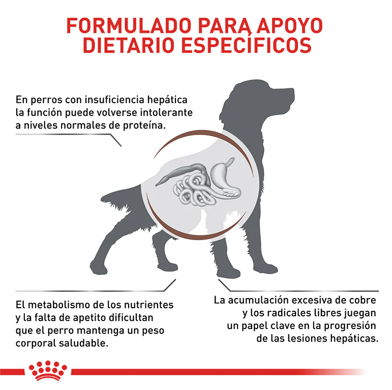 Comida Para Perro Royal Canin Hepatic Dog - Image 2