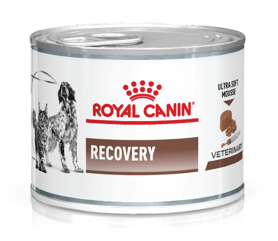 Comida Húmeda Para Perro Royal Canin Lata C.F Recovery 164g