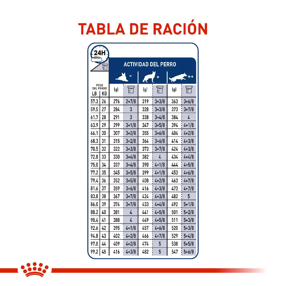 Comida Para Perro Royal Canin Maxi Adulto - Image 2