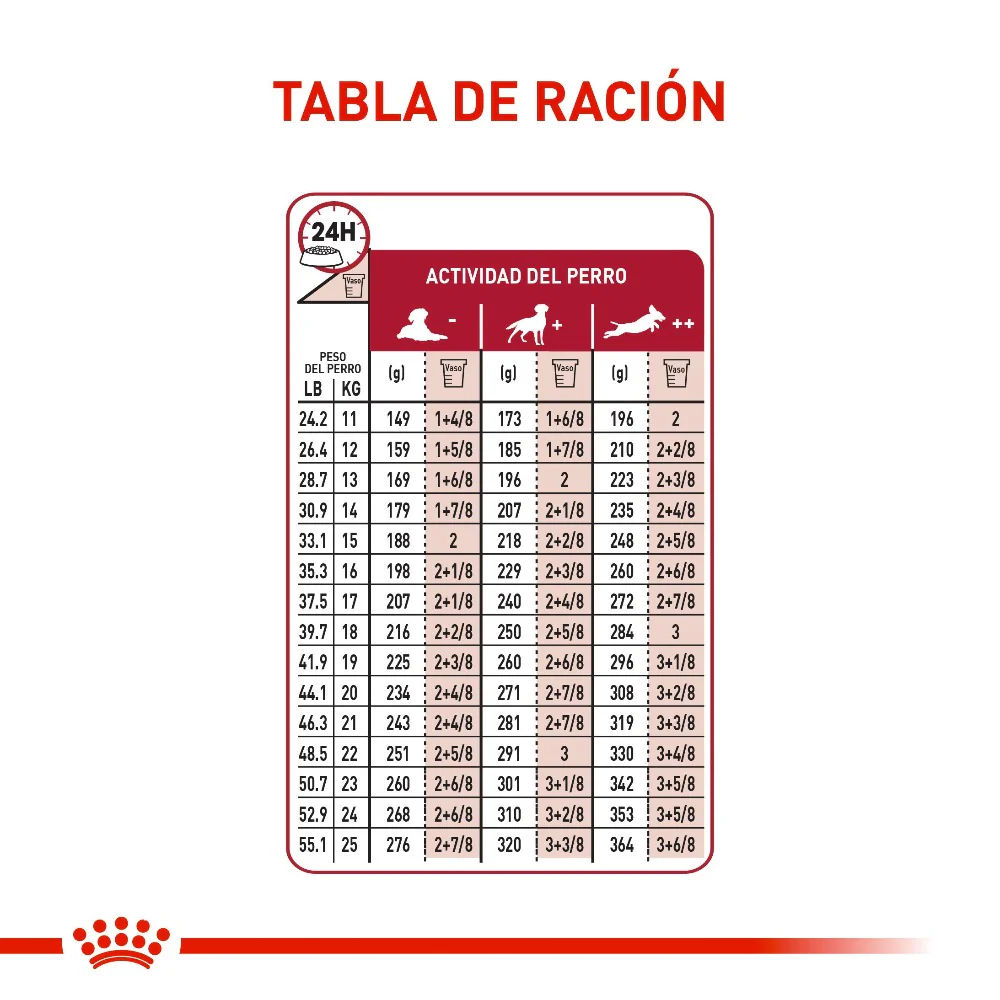 Comida Para Perro Royal Canin Medium Adulto - Image 2
