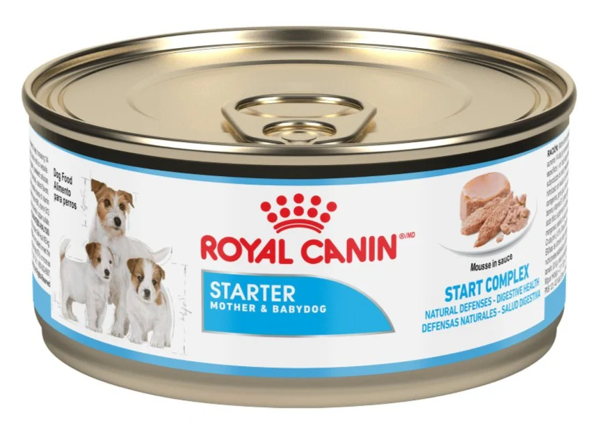 Comida Húmeda Perro Royal Canin Starter Mousse Lata 145g