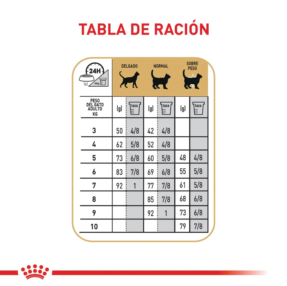 Comida Para Gato Royal Canin Feline Adulto Maine Coon 2 Kg - Image 2