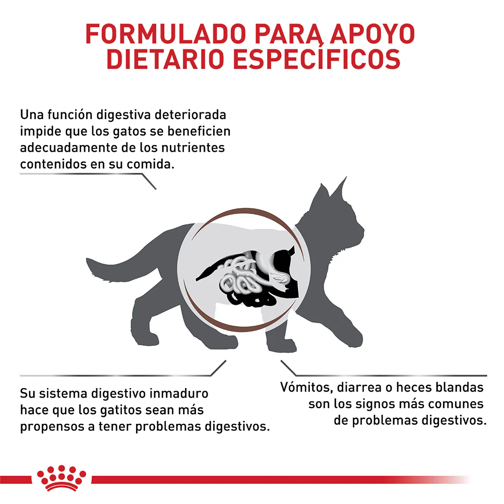 Comida Para Gato Royal Canin Feline Gastrointestinal 2Kg - Image 2