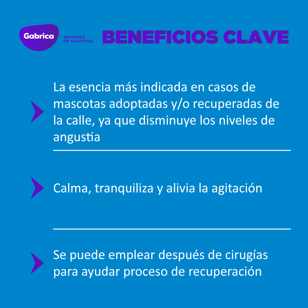 Esencia Floral Rescate Spray 250 Ml - Image 4